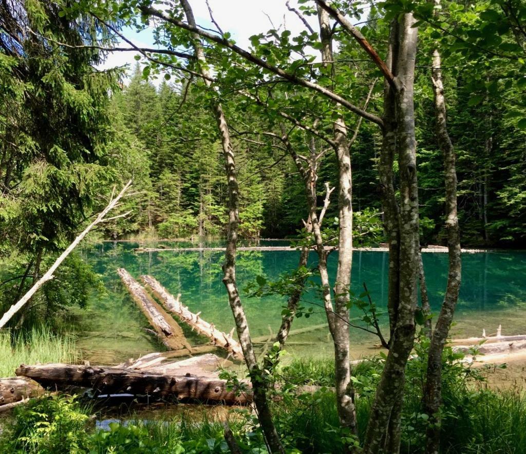 Waldnerhuette Villa Hermagor-Pressegger See Bagian luar foto