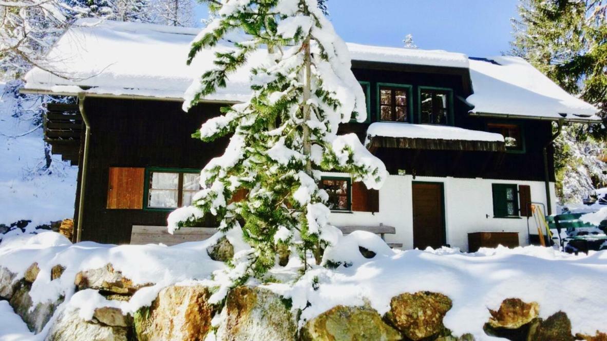 Waldnerhuette Villa Hermagor-Pressegger See Bagian luar foto