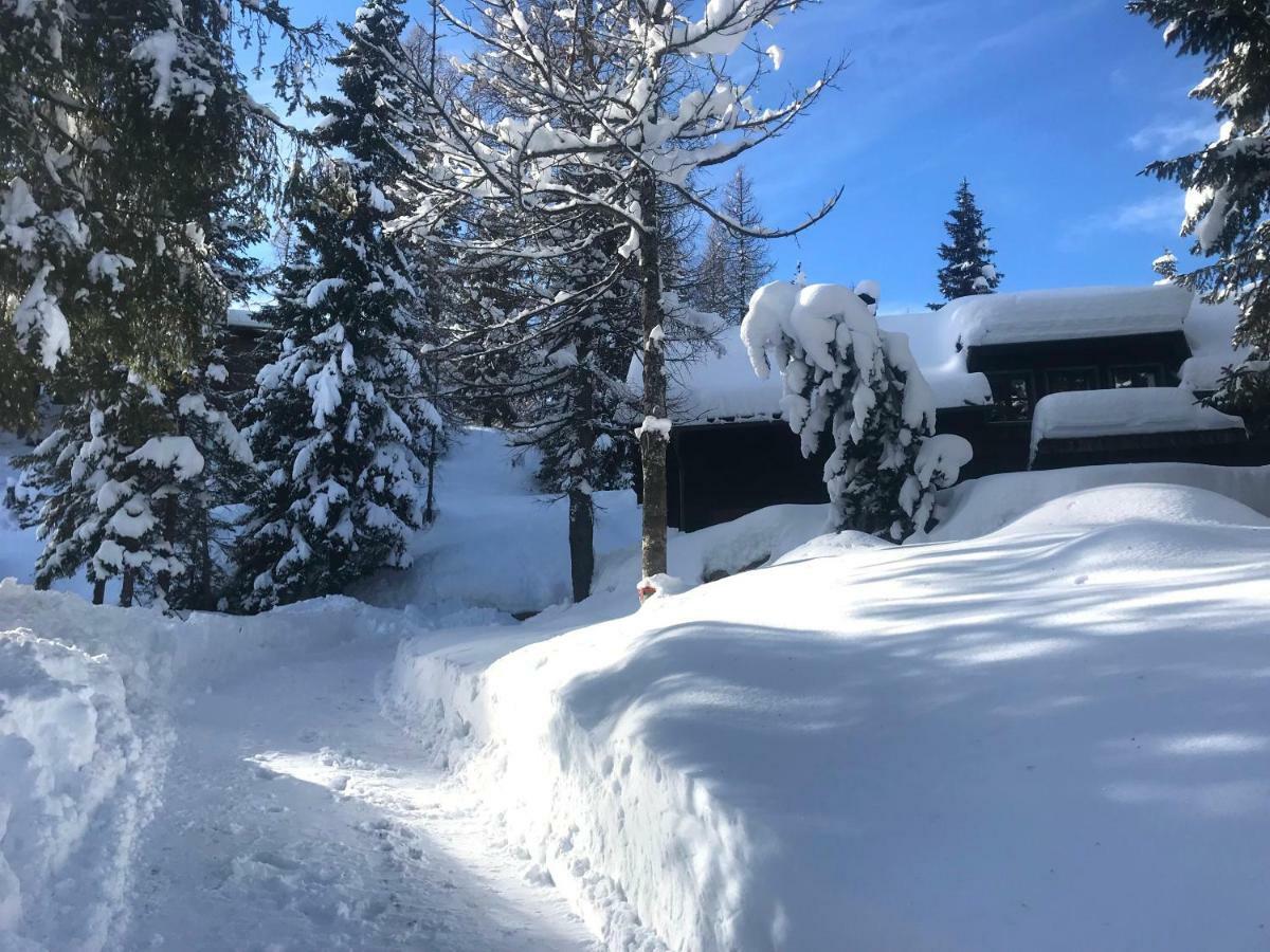 Waldnerhuette Villa Hermagor-Pressegger See Bagian luar foto